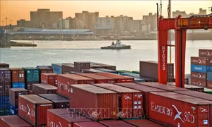Thuế quan Mỹ: Nam Phi chuẩn bị cấm nhập khẩu hàng hóa liên quan đến lao động cưỡng bức