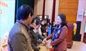 Phó Chủ tịch nước Võ Thị Ánh Xuân thăm, tặng quà gia đình chính sách tại Lạng Sơn