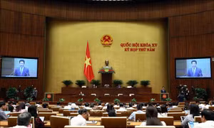 Phân định rõ trách nhiệm quản lý tài nguyên nước