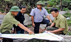 Bắc Giang xử lý nghiêm tình trạng phá rừng, lấn chiếm trái phép