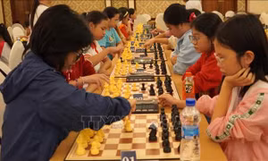 1.200 kỳ thủ tranh tài tại Giải vô địch Cờ vua các Câu lạc bộ Quốc gia 2024