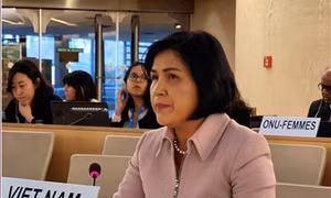 Việt Nam tham dự cuộc họp Hội đồng Chấp hành Trung tâm quốc tế hành động bom mìn nhân đạo Geneva 