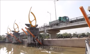 Ứng phó từ xa với xâm nhập mặn