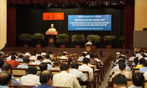 Tổ chức triển khai có hiệu quả Nghị quyết Trung ương 10, khóa XII