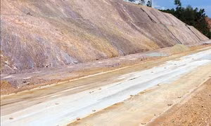 Gia Lai cấm một công ty cung cấp thông tin không trung thực tham gia đấu thầu trong 3 năm