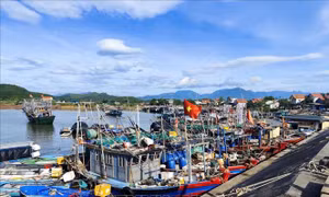 Từ Quảng Ninh đến Thanh Hóa chủ động ứng phó áp thấp nhiệt đới khả năng mạnh lên thành bão