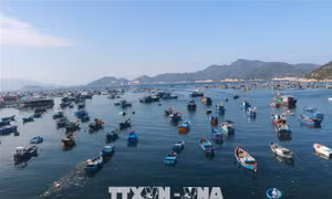 Khánh Hòa: Không tổ chức các hoạt động du lịch tại hai đảo Bình Ba và Bình Hưng