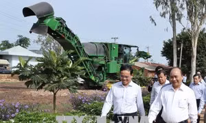 Thủ tướng thăm một số mô hình nông nghiệp công nghệ cao tại Tây Ninh