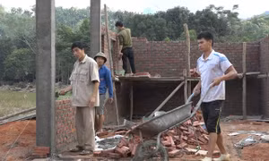 Người dân vùng lũ Nghĩa Đô rộn ràng đón xuân về