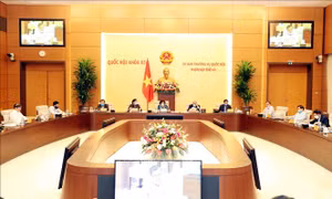Dừng tổ chức Hội nghị Đại biểu Quốc hội chuyên trách, các cơ quan của Quốc hội làm việc trực tuyến