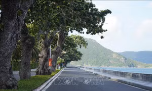 Phát triển KT-XH bền vững huyện Côn Đảo cần mô hình kinh tế tuần hoàn