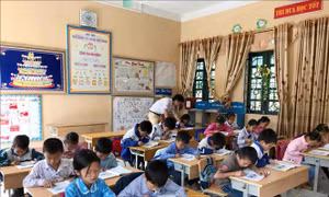 Sắp xếp lại các trường học, bảo đảm hiệu quả hoạt động dạy và học
