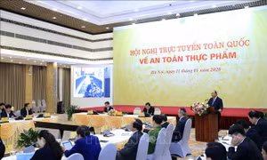  Thủ tướng: Không nhân nhượng với hành vi vi phạm an toàn thực phẩm