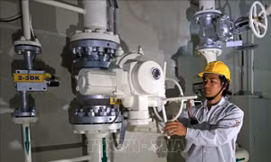 Bảo đảm cung ứng điện - Bài 3: Loay hoay bài toán nhiên liệu