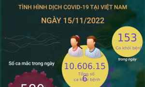 Dịch COVID-19 ngày 15/11: Có 580 ca mắc mới, 153 F0 khỏi bệnh