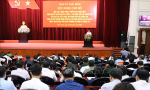 Thái Bình xây dựng chương trình thực hiện các nghị quyết sát với thực tế