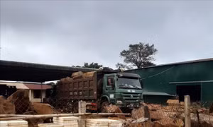 Đắk Nông kiểm tra, xử lý hành vi tiêu thụ, chế biến khoáng sản trái phép