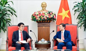 Viện Nghiên cứu Kinh tế ASEAN - Đông Á sẵn sàng đóng góp các ý tưởng trao đổi tại APEC 2027