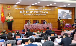 Vấn đề môi trường là yêu cầu bắt buộc trong triển khai các dự án phát triển của tỉnh Lào Cai