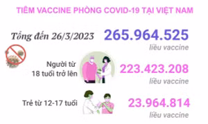 Tình hình tiêm vaccine phòng COVID-19 tại Việt Nam tính đến hết ngày 26/3/2023