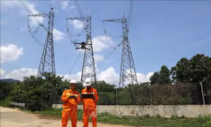 Dùng robot xử lý hiện tượng dây chống sét bị tưa trên đường dây 500kV