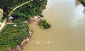Đắk Nông đề nghị Bộ Tài nguyên và Môi trường đánh giá nguyên nhân sạt lở bờ sông Krông Nô
