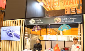 Phở và nem rán Việt Nam tại Lễ hội ẩm thực ASEAN ở Hàn Quốc