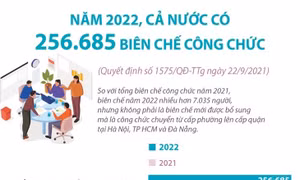Năm 2022, tổng biên chế công chức là 256.685