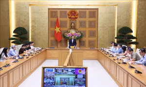 Các địa phương khẩn trương ban hành văn bản quy định chi tiết Luật Đất đai, Luật Nhà ở, Luật Kinh doanh bất động sản