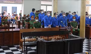 Xét xử 'trùm buôn lậu' Nguyễn Thị Kim Hạnh cùng 24 đồng phạm 