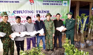 Hỗ trợ sinh kế, tiếp sức đồng bào vùng biên tái thiết sau bão lũ