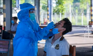 Sinh viên Đại học Y Dược Cần Thơ tham gia phòng, chống dịch COVID-19