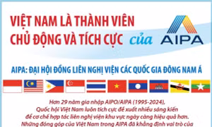 Việt Nam là thành viên chủ động và tích cực của AIPA
