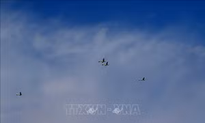 Nga phát triển lá chắn 'mạng nhện' chống UAV
