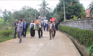 Ba địa phương về đích nông thôn mới