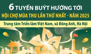 6 tuyến buýt hướng tới Hội chợ mùa thu lần thứ nhất - năm 2025