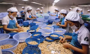 Nông nghiệp tiếp tục khẳng định vị thế bệ đỡ của nền kinh tế