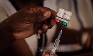 WHO kêu gọi phát triển vaccine phòng các căn bệnh gây tử vong trên diện rộng