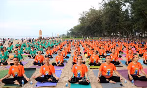 Trên 500 người đồng diễn Yoga tại Ngày quốc tế Yoga lần thứ 8