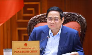 Thí điểm xây dựng các khu thương mại tự do và xây dựng Trung tâm năng lượng Dung Quất