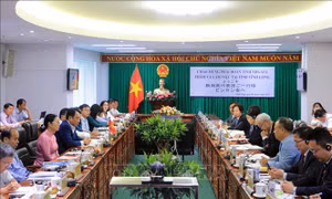 Vĩnh Long tăng cường hợp tác với tỉnh Niigata (Nhật Bản)