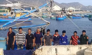Nỗ lực tìm kiếm thuyền viên bị mất tích giữa biển