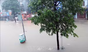 Khẩn trương khắc phục hậu quả thiên tai, sớm ổn định cuộc sống, sản xuất 