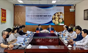 Đổi mới xúc tiến thương mại - Bài cuối: Hình thành hệ sinh thái xúc tiến thương mại số