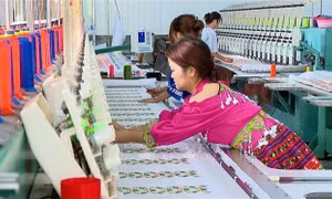 Lan tỏa những tấm gương đồng bào vùng cao làm kinh tế giỏi