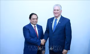 Thủ tướng Phạm Minh Chính hội kiến Chủ tịch Cuba Miguel Diaz Canel