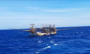 Đưa ngư dân từ Trường Sa vào đất liền điều trị kịp thời