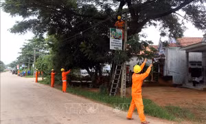 Thắp sáng đường quê, lắp điện miễn phí cho hộ nghèo