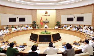Chủ động làm tốt công tác nắm bắt, đánh giá tình hình, ngăn chặn ma túy từ xa