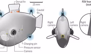 Cá robot - Phương tiện mới cho hoạt động cứu hộ trên biển